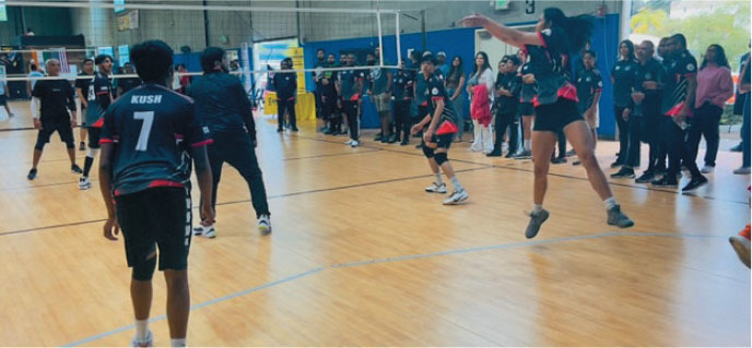 aahoa members participated in a volleyball tournament